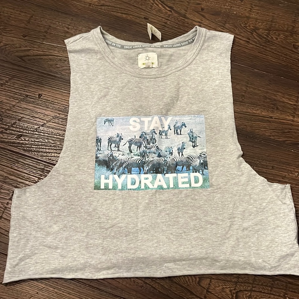 NWT Offline by Aerie Crop Tank